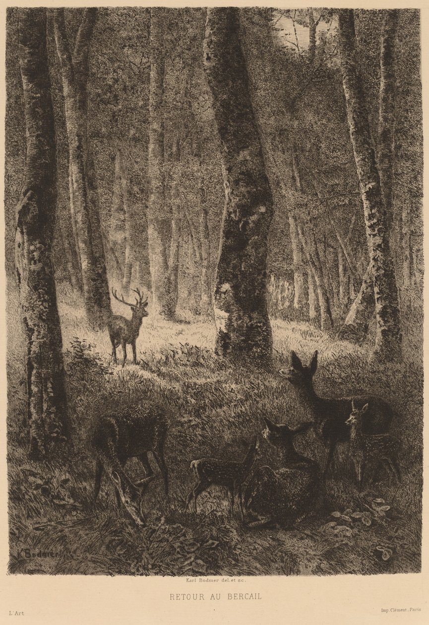Regreso al redil de Karl Bodmer