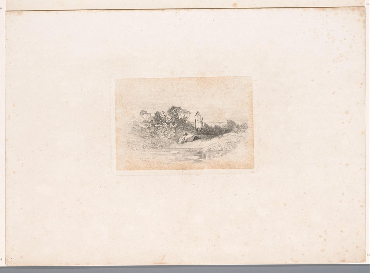 Dos garzas en el paseo marítimo Paisajes con animales (título de serie) de Karl Bodmer