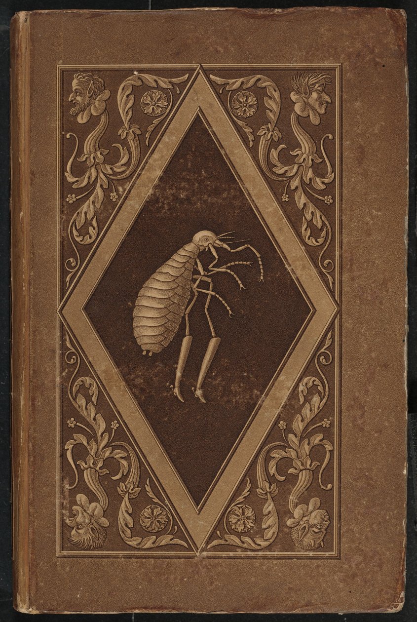 Meister Floh. Un Cuento de Hadas en Siete Aventuras de Dos Amigos de Karl Friedrich Thiele, Ernst Theodor Amadeus Hoffmann
