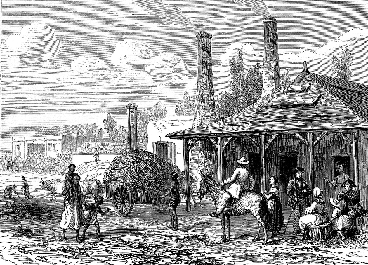 Azucarera en Mauricio en 1863. Le T du Monde París 1863 Editor de Karl Girardet