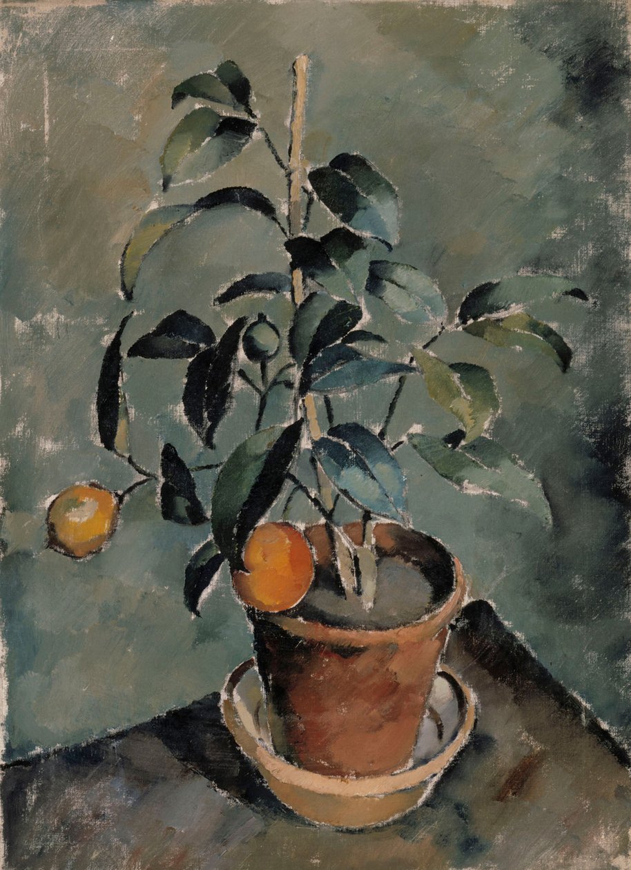 Planta de naranja de Karl Isakson