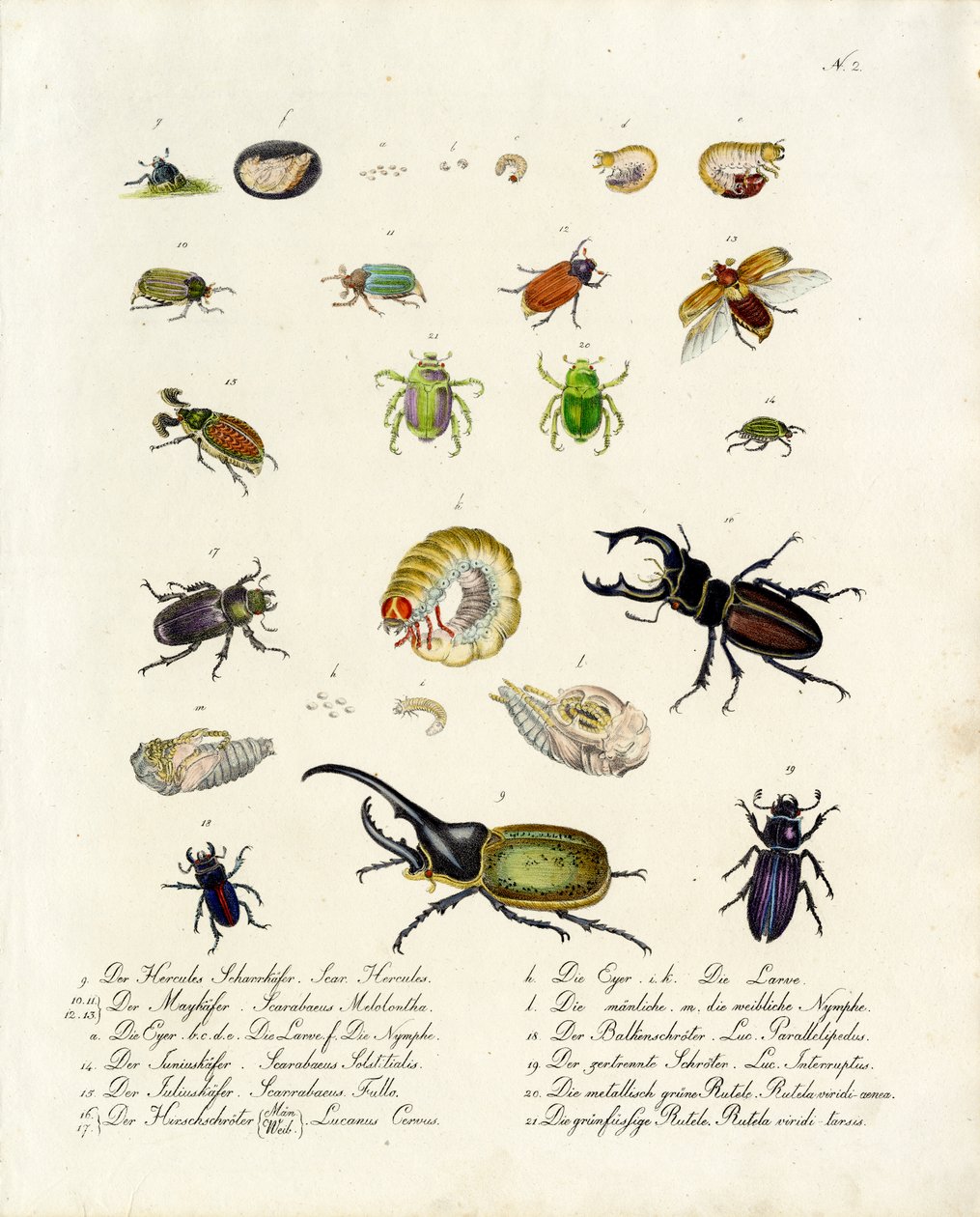  de Karl Joseph Brodtmann