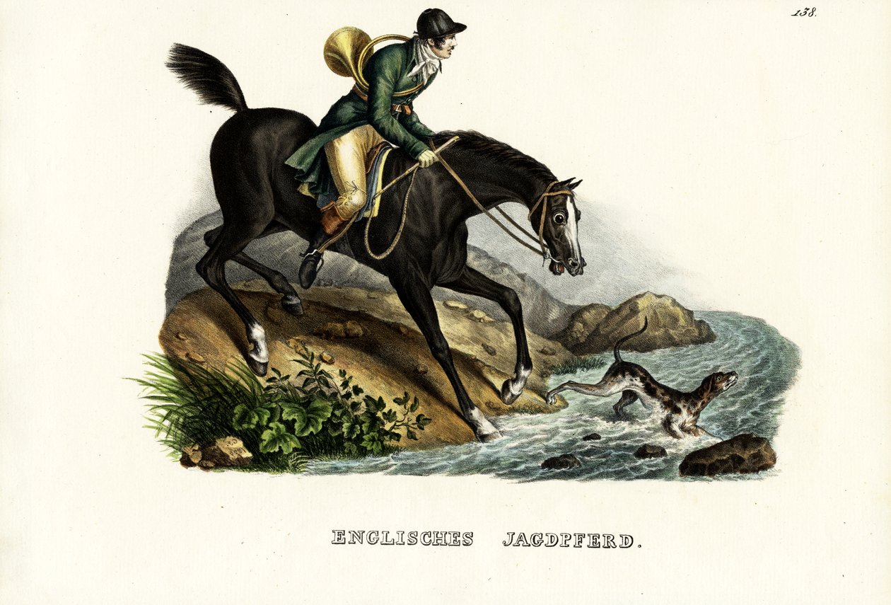 Caballo Cazador Inglés, 1824 de Karl Joseph Brodtmann