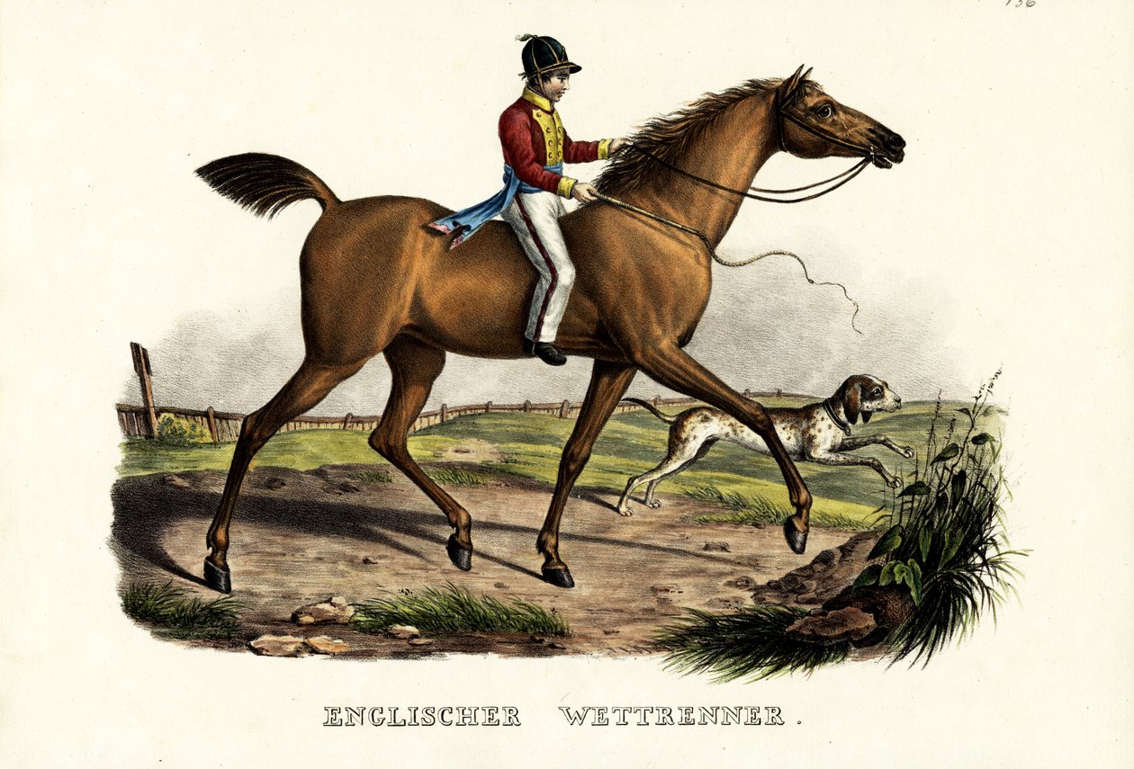 Caballo de Carrera Inglés, 1824 de Karl Joseph Brodtmann