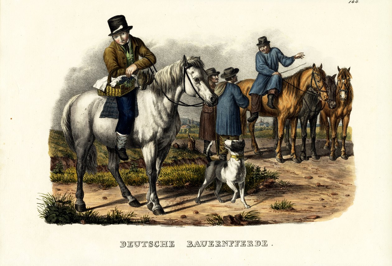 Caballos de granja alemanes, 1824 de Karl Joseph Brodtmann