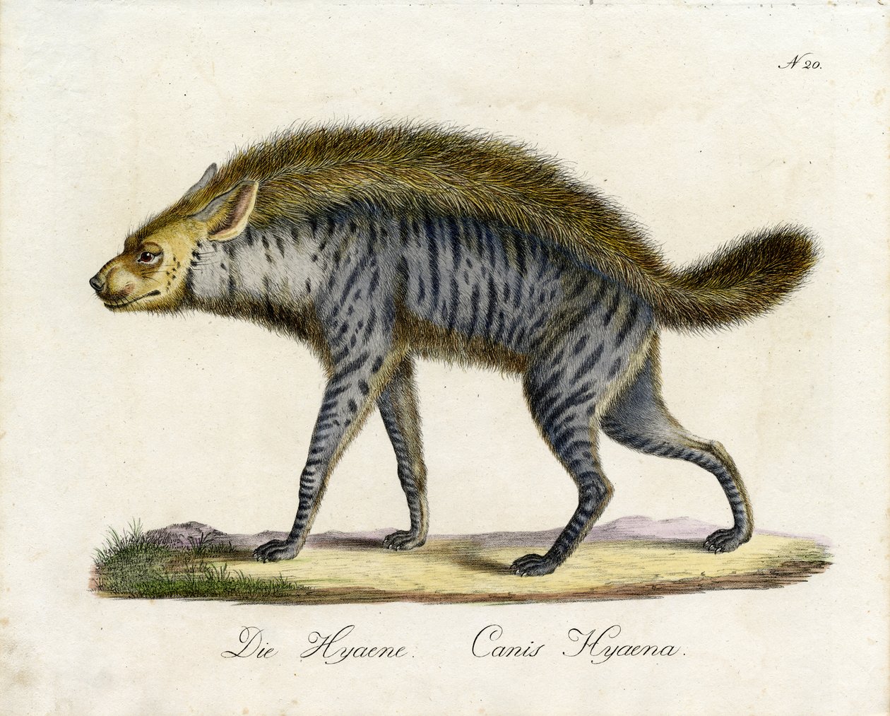  de Karl Joseph Brodtmann
