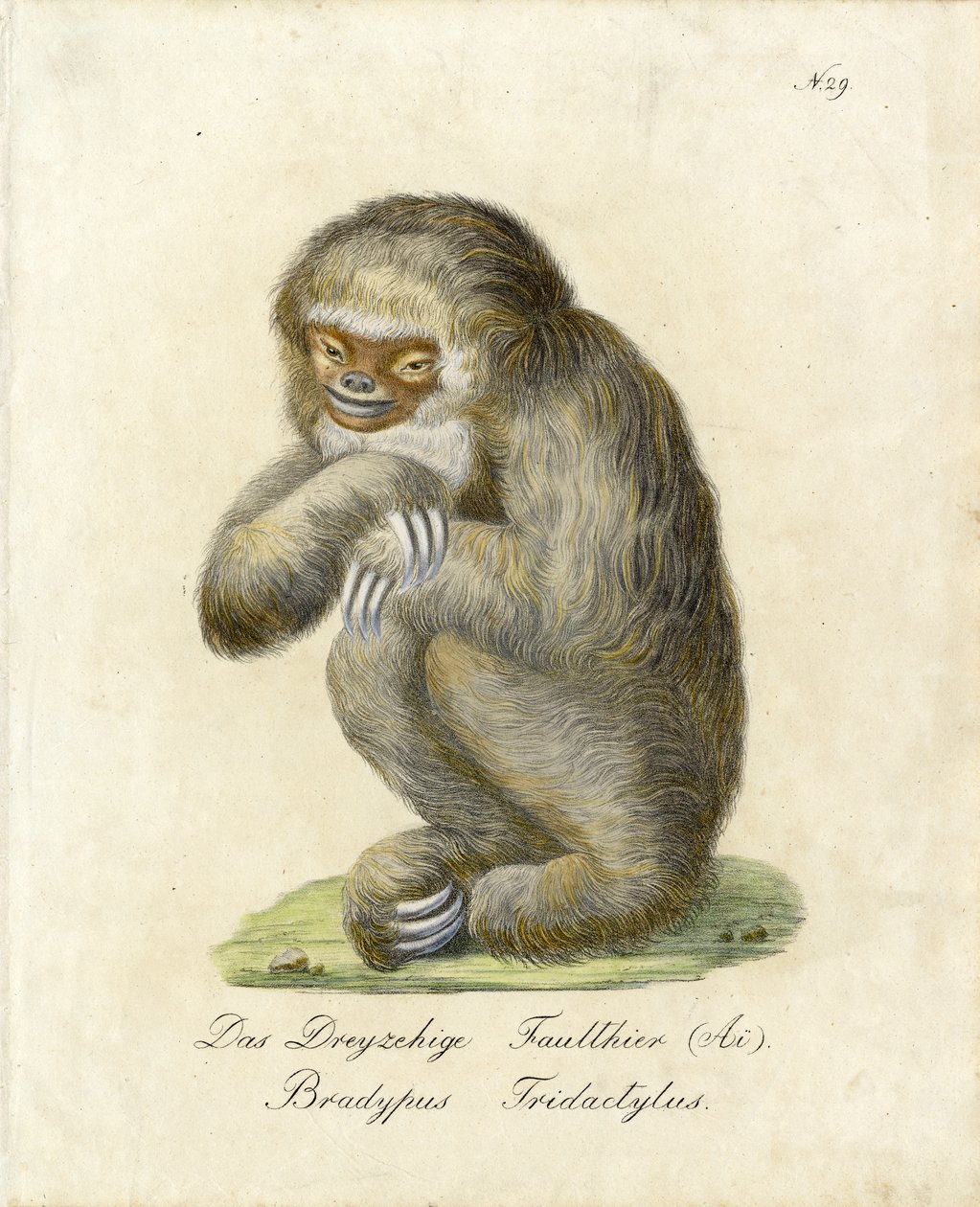  de Karl Joseph Brodtmann