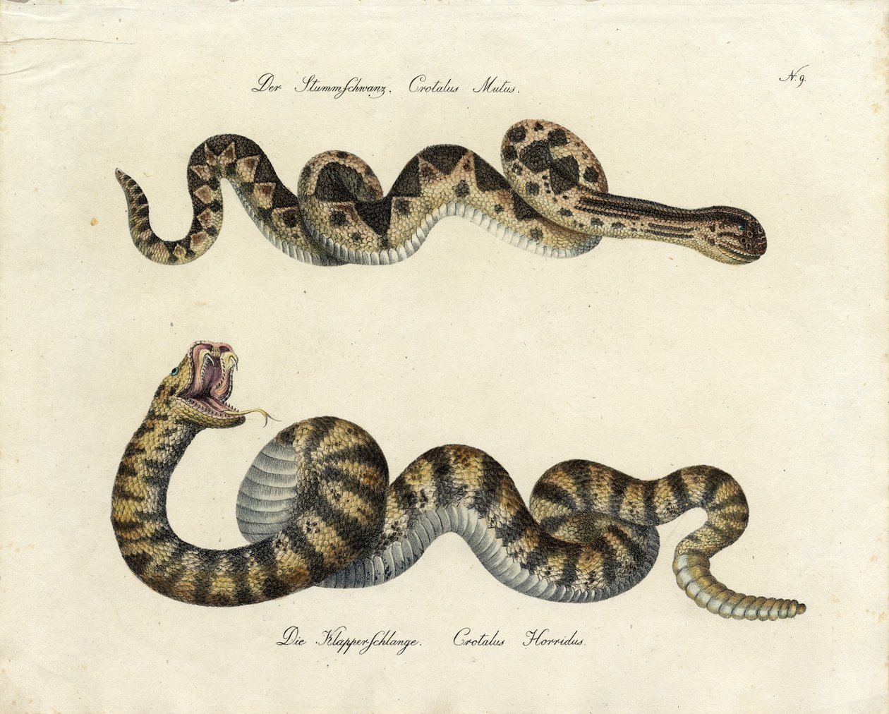  de Karl Joseph Brodtmann