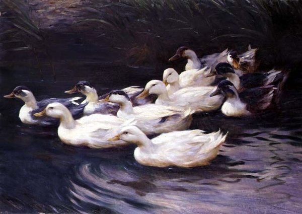 Patos de Karl Lindner