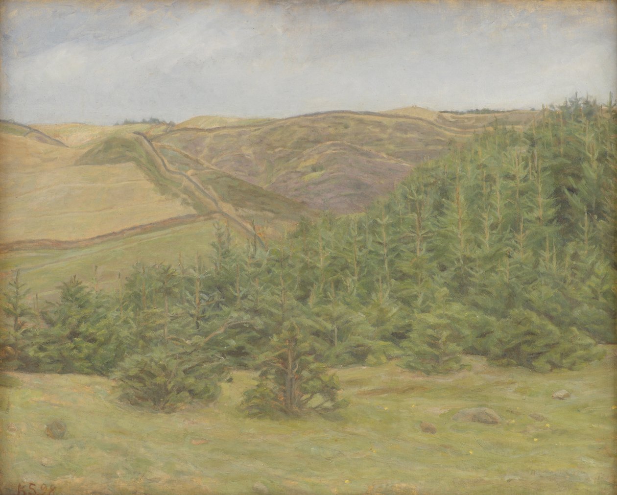 Colinas de Svanninge, Funen de Karl Schou