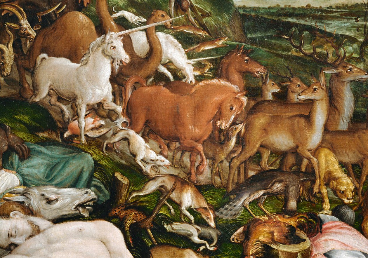  de Kaspar the Elder Memberger