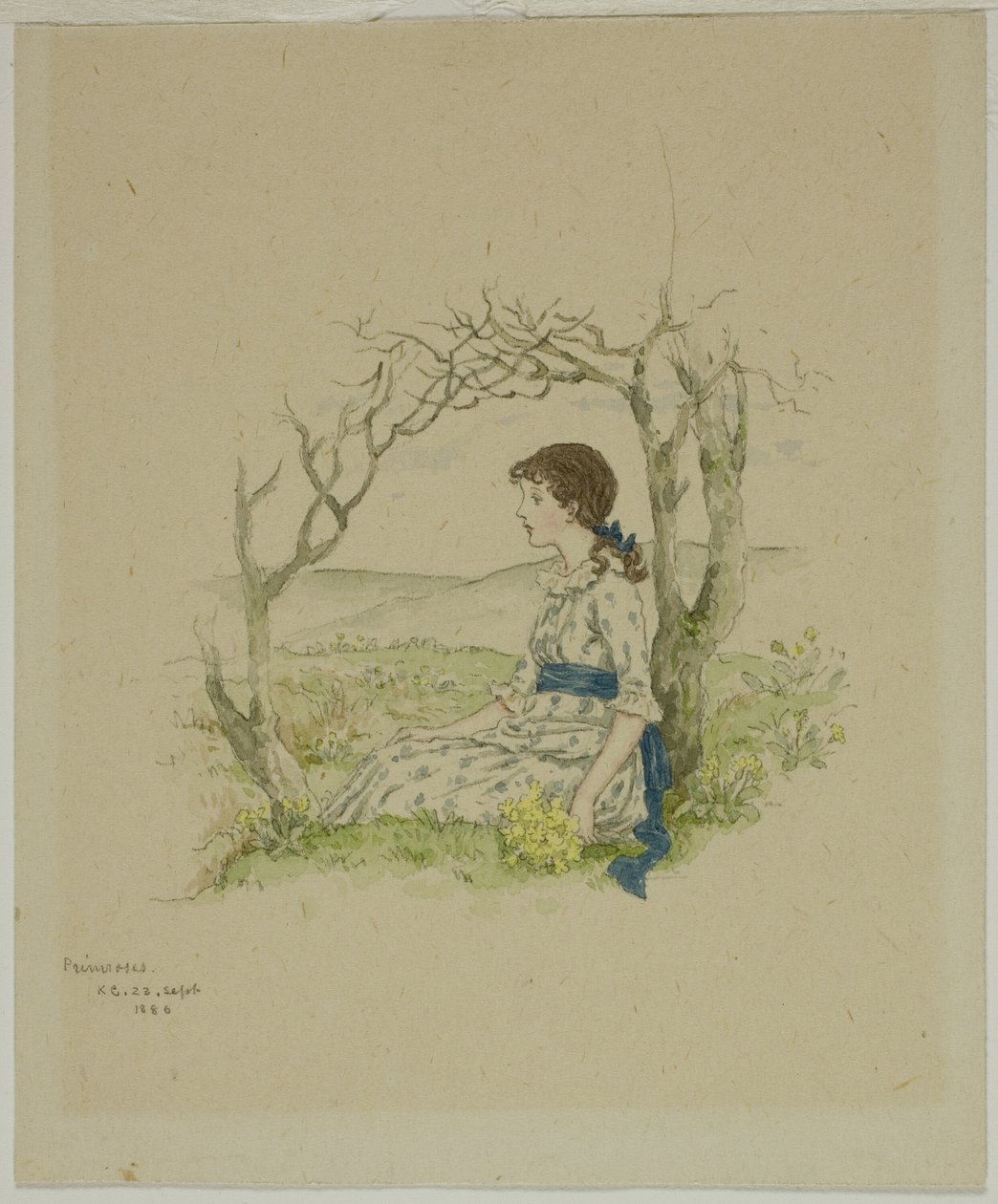 Niña sentada con prímulas de Kate Greenaway