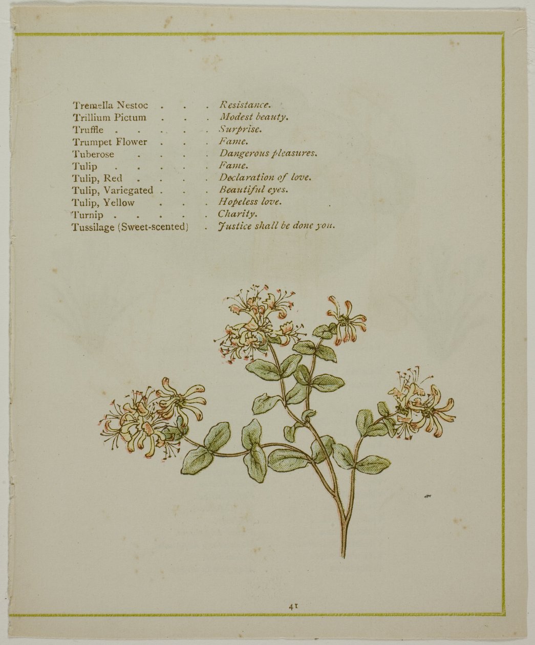 Valeriana a través de Volkamenia, de El lenguaje iluminado de las flores de Kate Greenaway