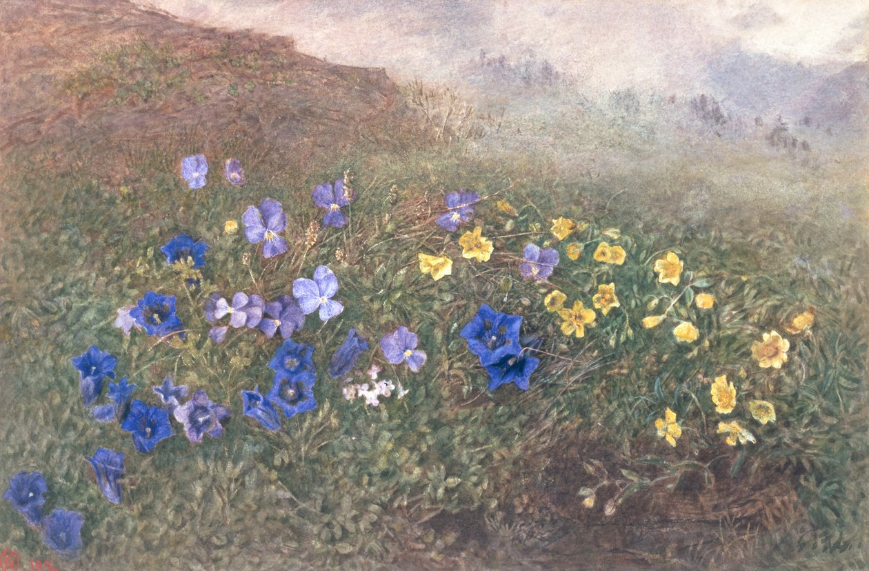 Flores de montaña de primavera, 1896 de Kate fl.1873 96 Goodwin