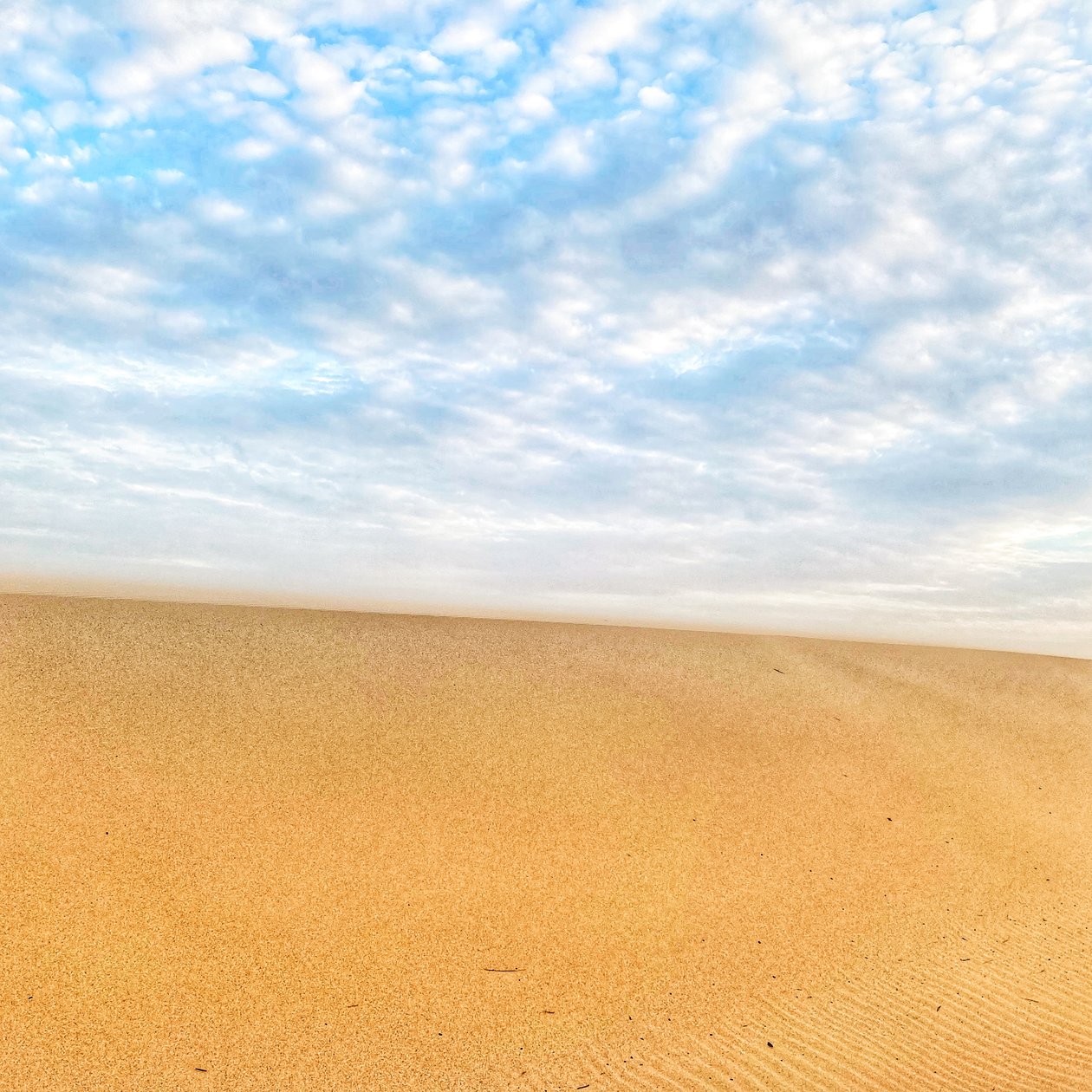 Playa Surrealista del Desierto de Katha Wood