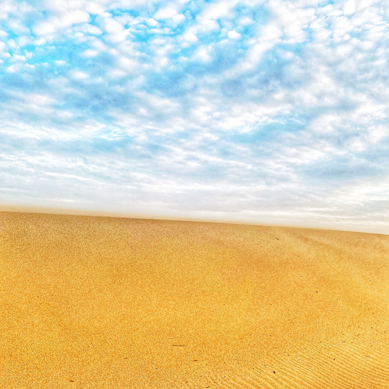 Playa Surrealista del Desierto II de Katha Wood