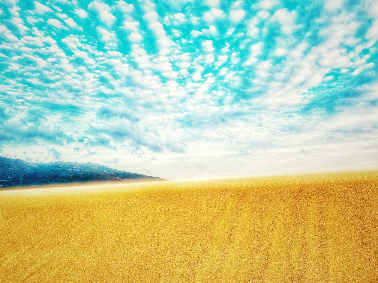 Playa surrealista en el desierto de Katha Wood