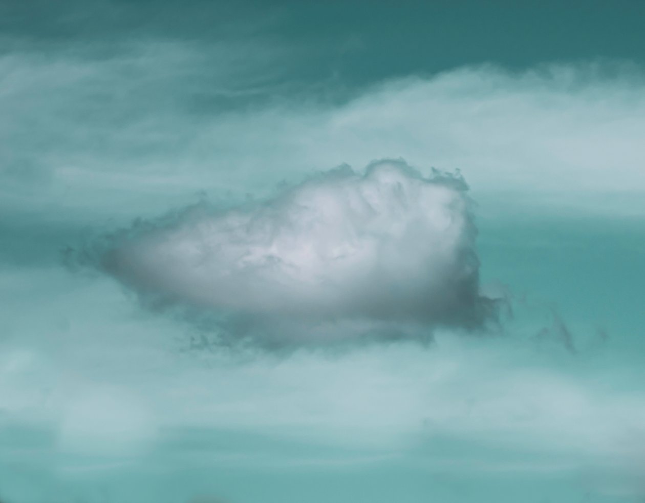 Esta nube, 2021 (foto) de Katha Wood