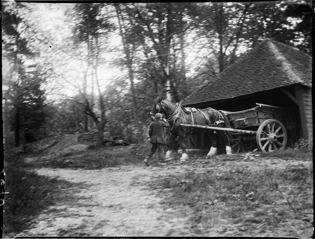 Groombridge, Speldhurst, Tunbridge Wells, Kent, 20/05/1911 (foto en blanco y negro) de Katherine Jean Macfee