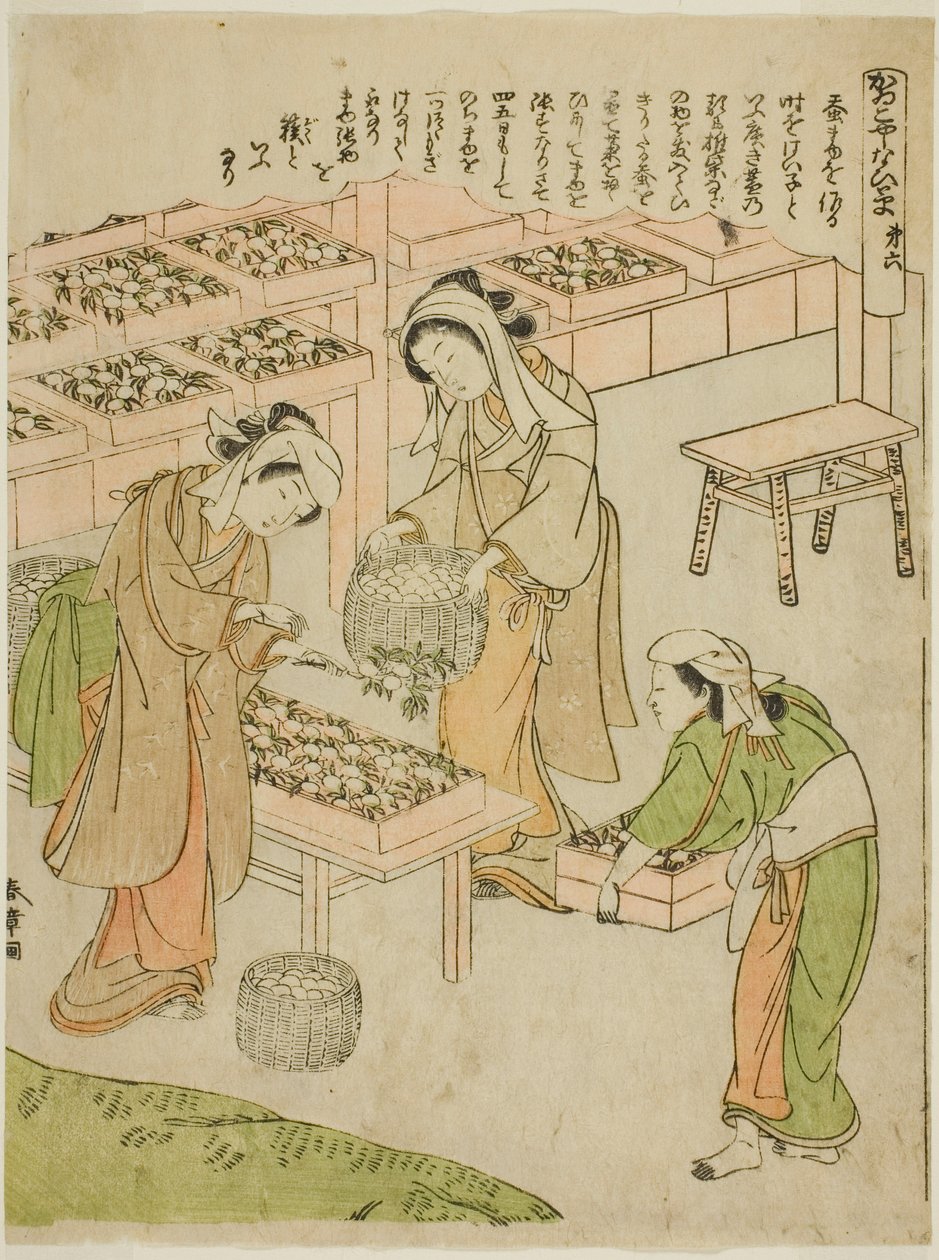 Lámina 6 (Examinando los capullos recién hilados), de la serie "Kaiko Yashinai-gusa" de Katsukawa Shunsho