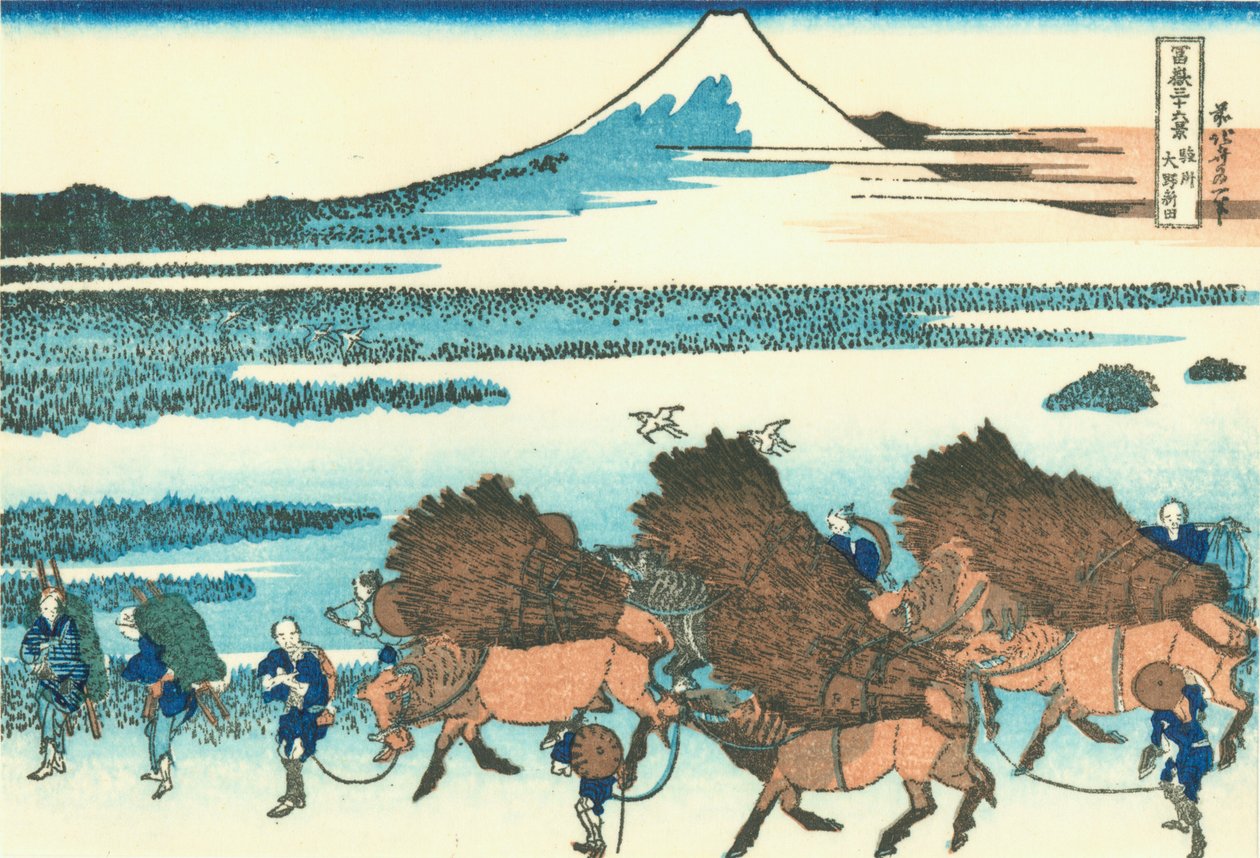 Campos de arroz en Ono, provincia de Suruga de Katsushika Hokusai
