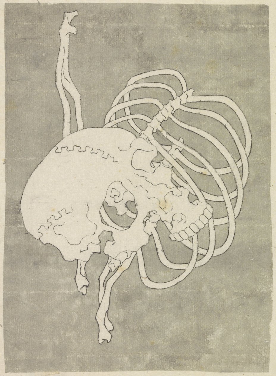 Cráneo y una caja torácica de Katsushika Hokusai (possibly)