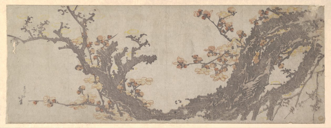 Un ciruelo centenario en flor de Katsushika Hokusai