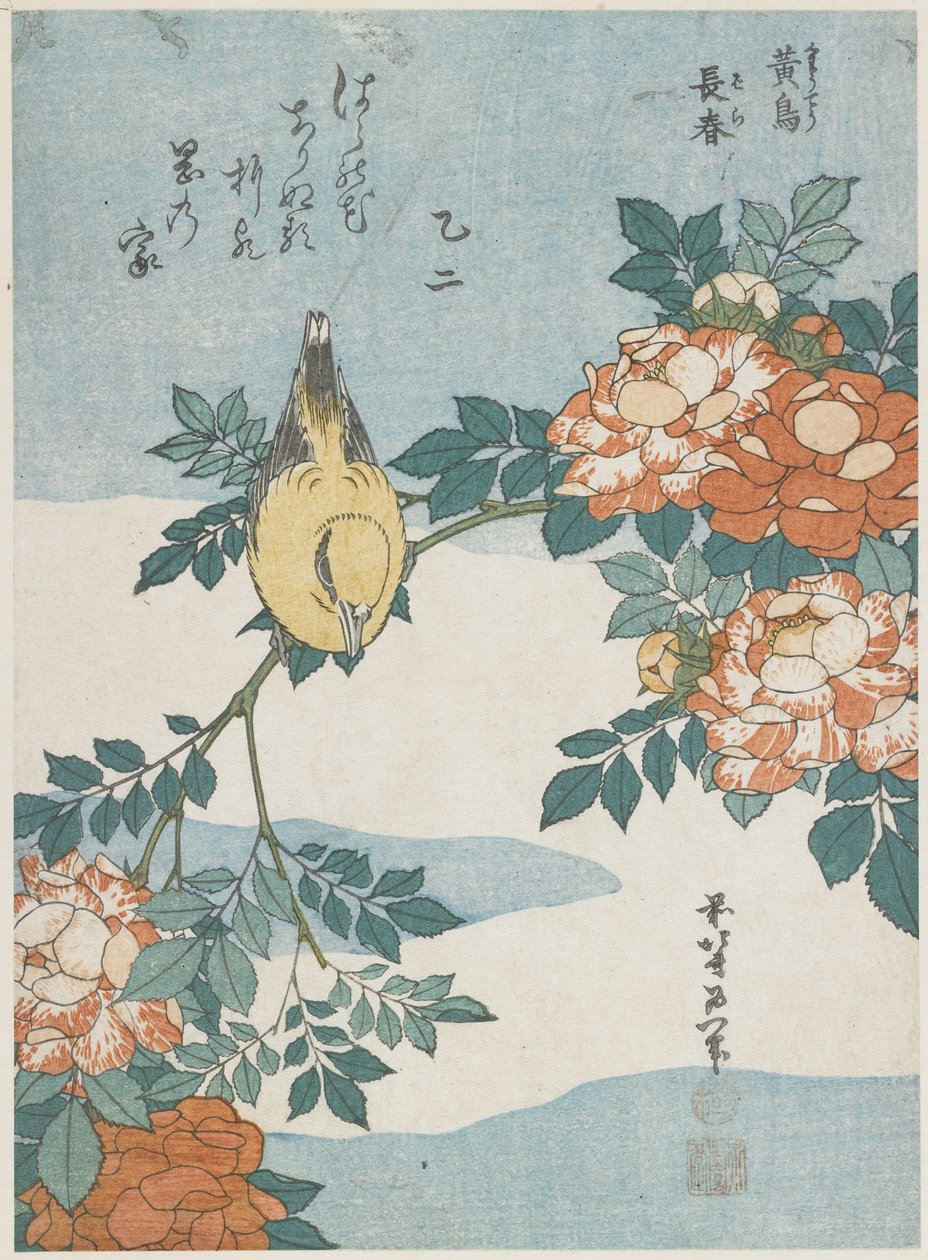 Oriol de nuca negra y rosa de China, c. 1833 de Katsushika Hokusai
