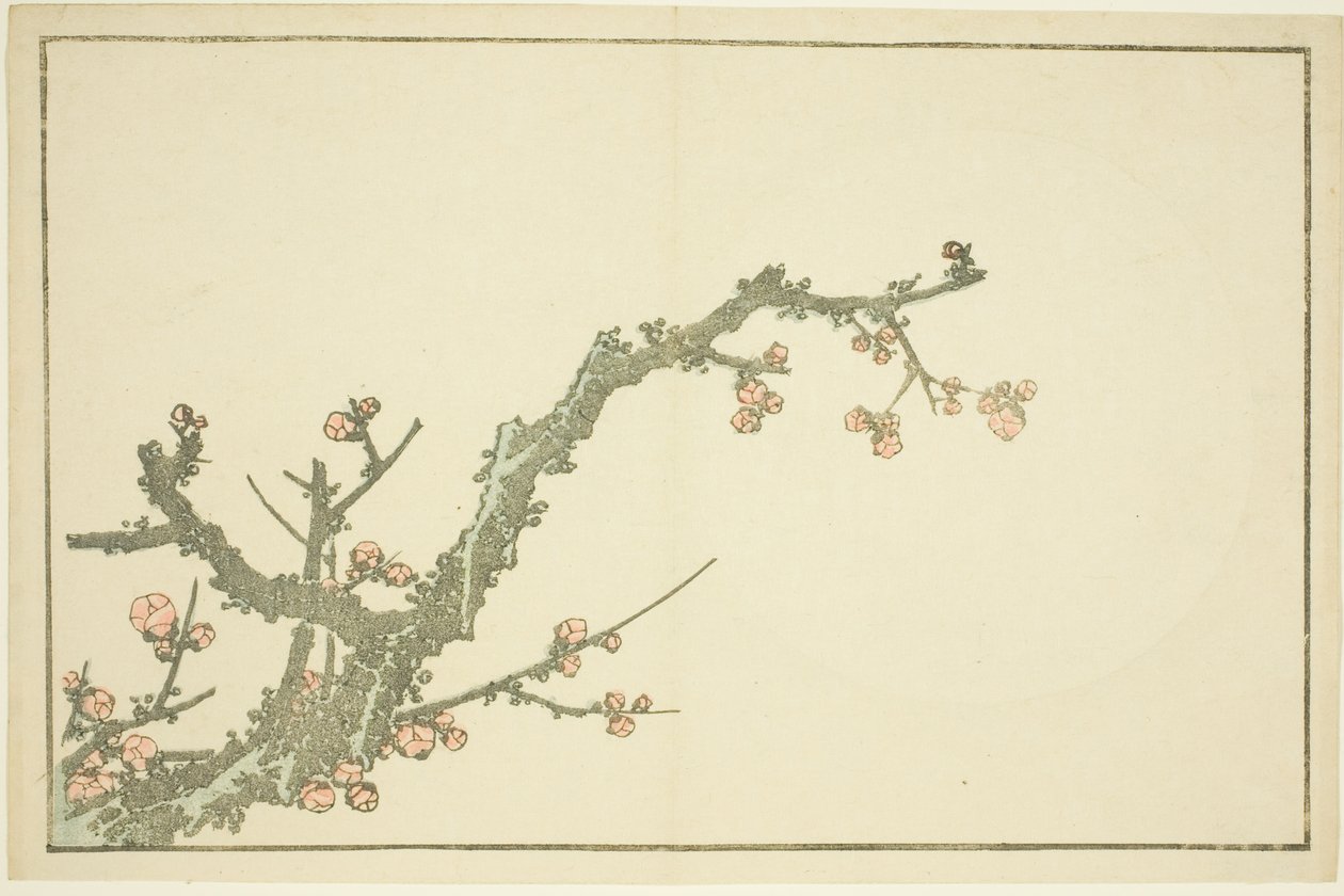 Ciruelo en flor, del Libro de pinturas realistas de Hokusai de Katsushika Hokusai