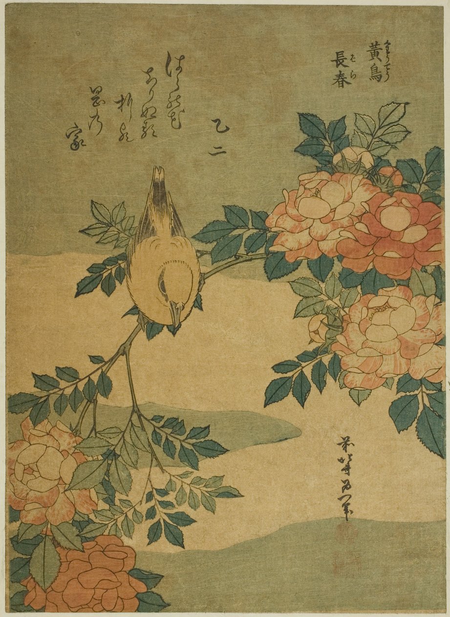 Ruiseñor y Rosa (Kocho, bara), de una serie sin título de flores y pájaros de Katsushika Hokusai