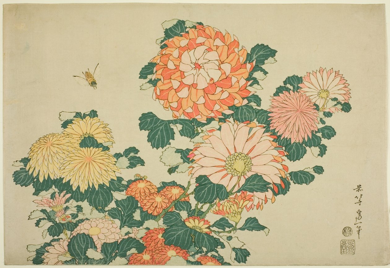 Crisantemos y abeja, de una serie sin título de Flores Grandes de Katsushika Hokusai