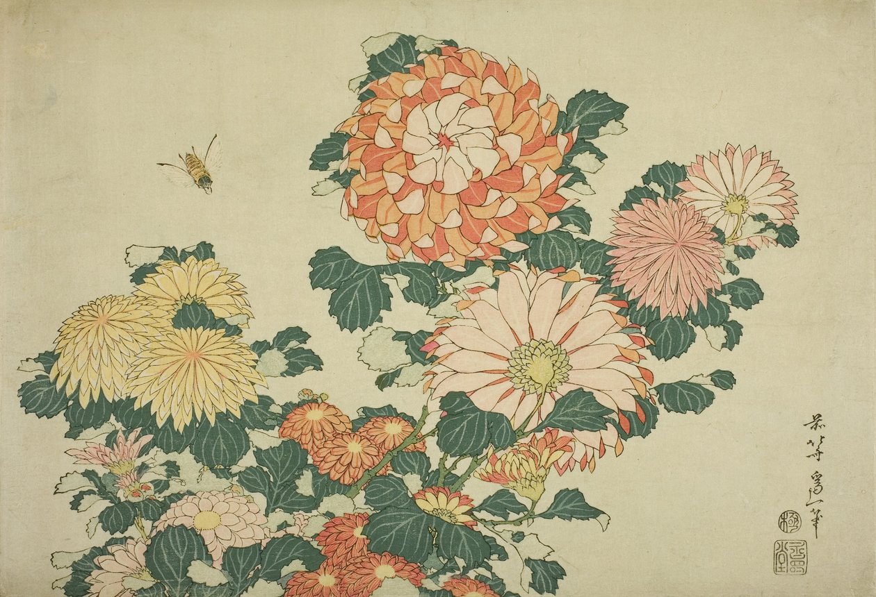 Crisantemos y Abeja, de una serie sin título de Grandes Flores, c.1833-34 de Katsushika Hokusai
