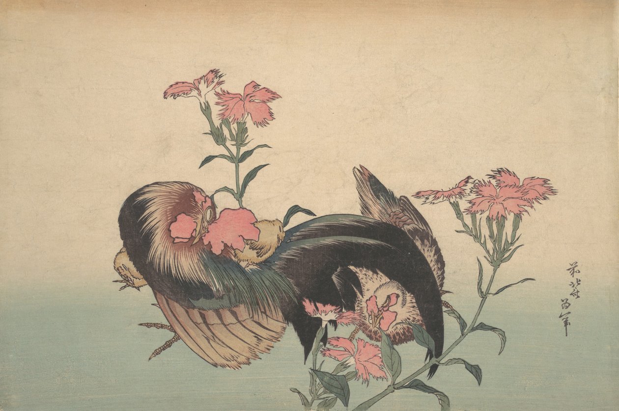 Gallo, Gallina y Nadeshiko Dianthus Superbus de Katsushika Hokusai