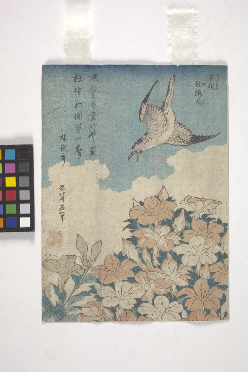 Cuco y azalea (xilografía en color) de Katsushika Hokusai