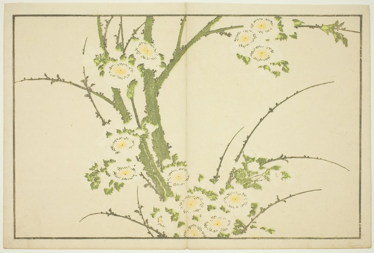 Flores, del Libro de Imágenes Realistas de Hokusai (Hokusai shashin gafu) de Katsushika Hokusai