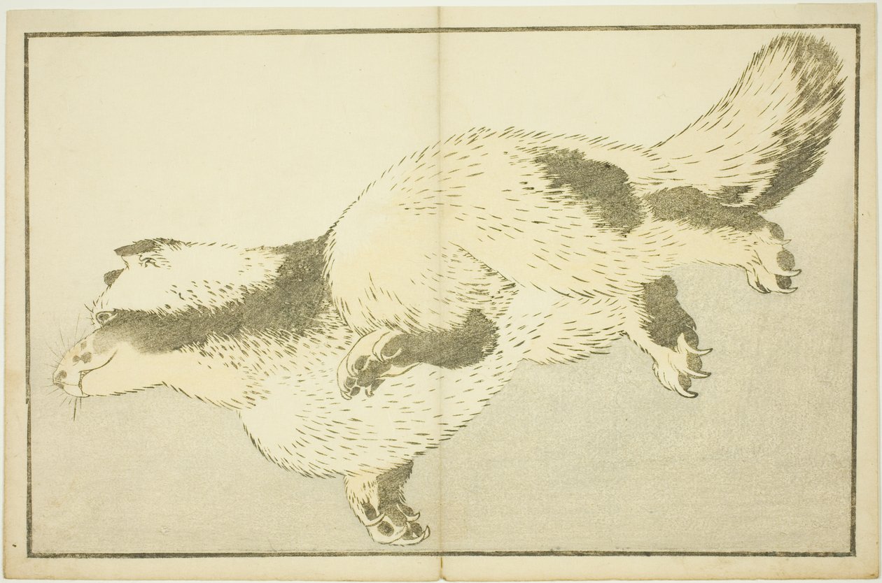 Zorro, del Libro de Pinturas Realistas de Hokusai (Hokusai shashin gafu) de Katsushika Hokusai