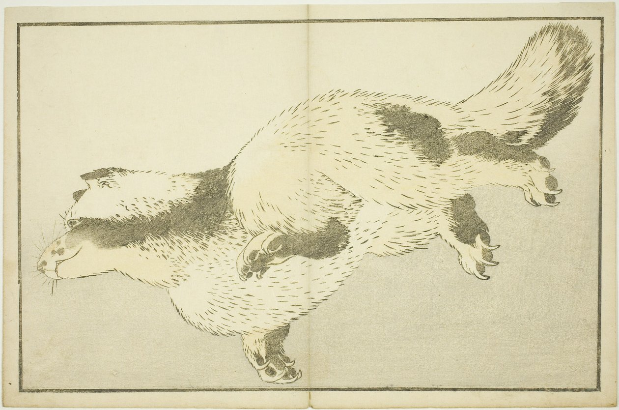 Zorro, del Libro de Pinturas Realistas de Hokusai (Hokusai shashin gafu) de Katsushika Hokusai