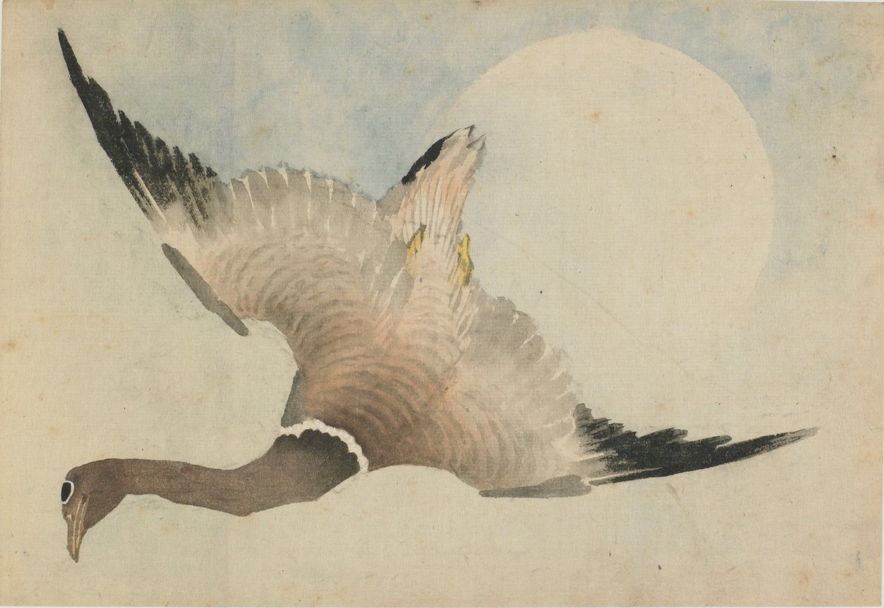 Ganso volando frente a la luna, finales del siglo XVIII-principios del siglo XIX de Katsushika Hokusai