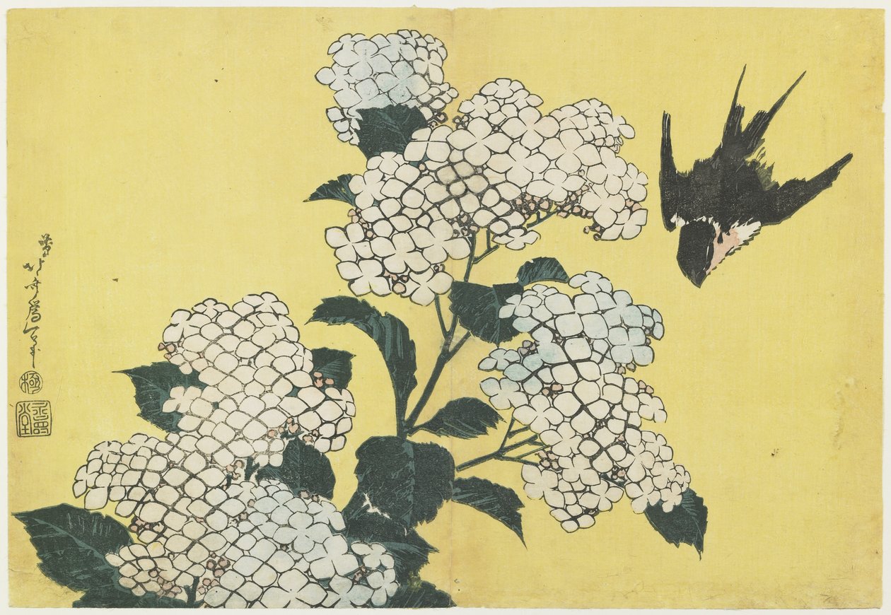 Hortensia y golondrina, c. 1832 de Katsushika Hokusai