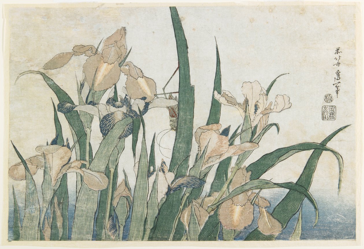 Flores de Iris y Saltamontes, c.1830-31 de Katsushika Hokusai