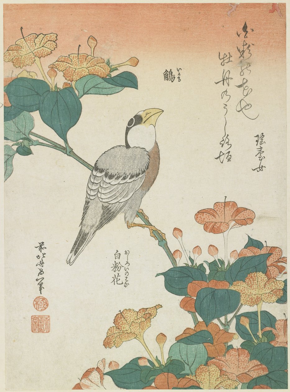 Grosbeak Japonés y Cuatro en Punto, c. 1833 de Katsushika Hokusai