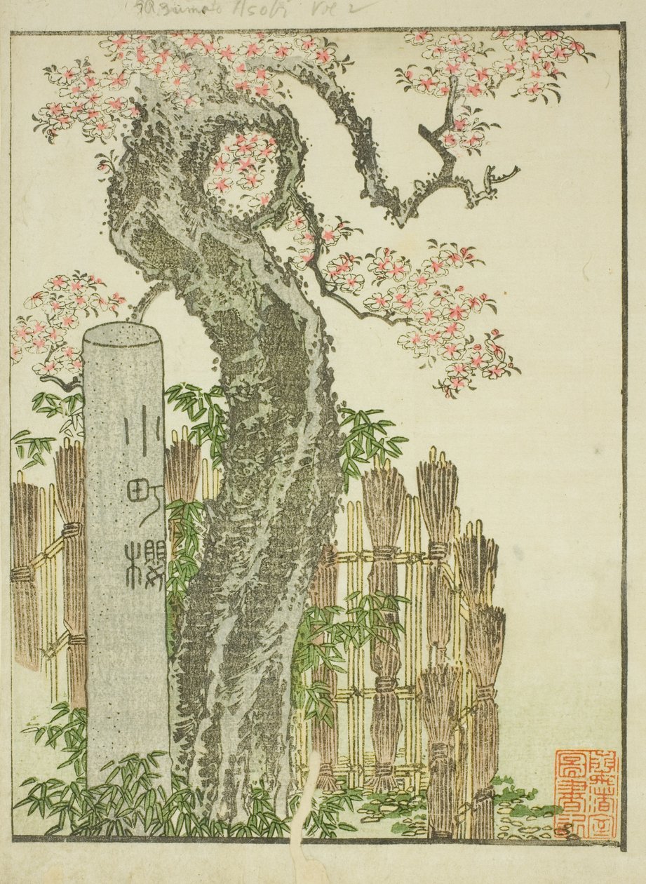 Cerezo Komachi (Komachi zakura), del libro ilustrado "Libro de imágenes de diversiones del Este (Ehon Azuma asobi)" de Katsushika Hokusai