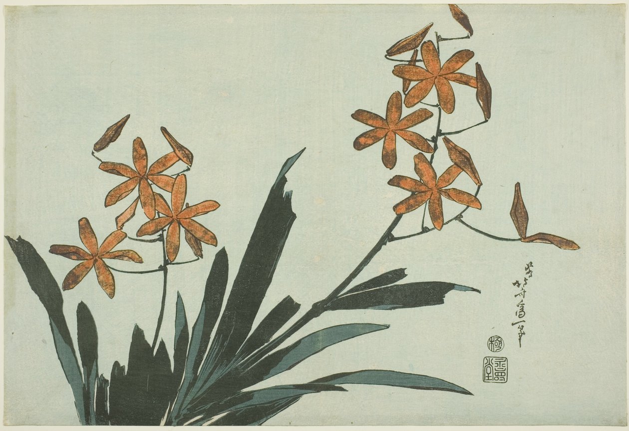 Orquídeas naranjas, de una serie sin título de flores de Katsushika Hokusai