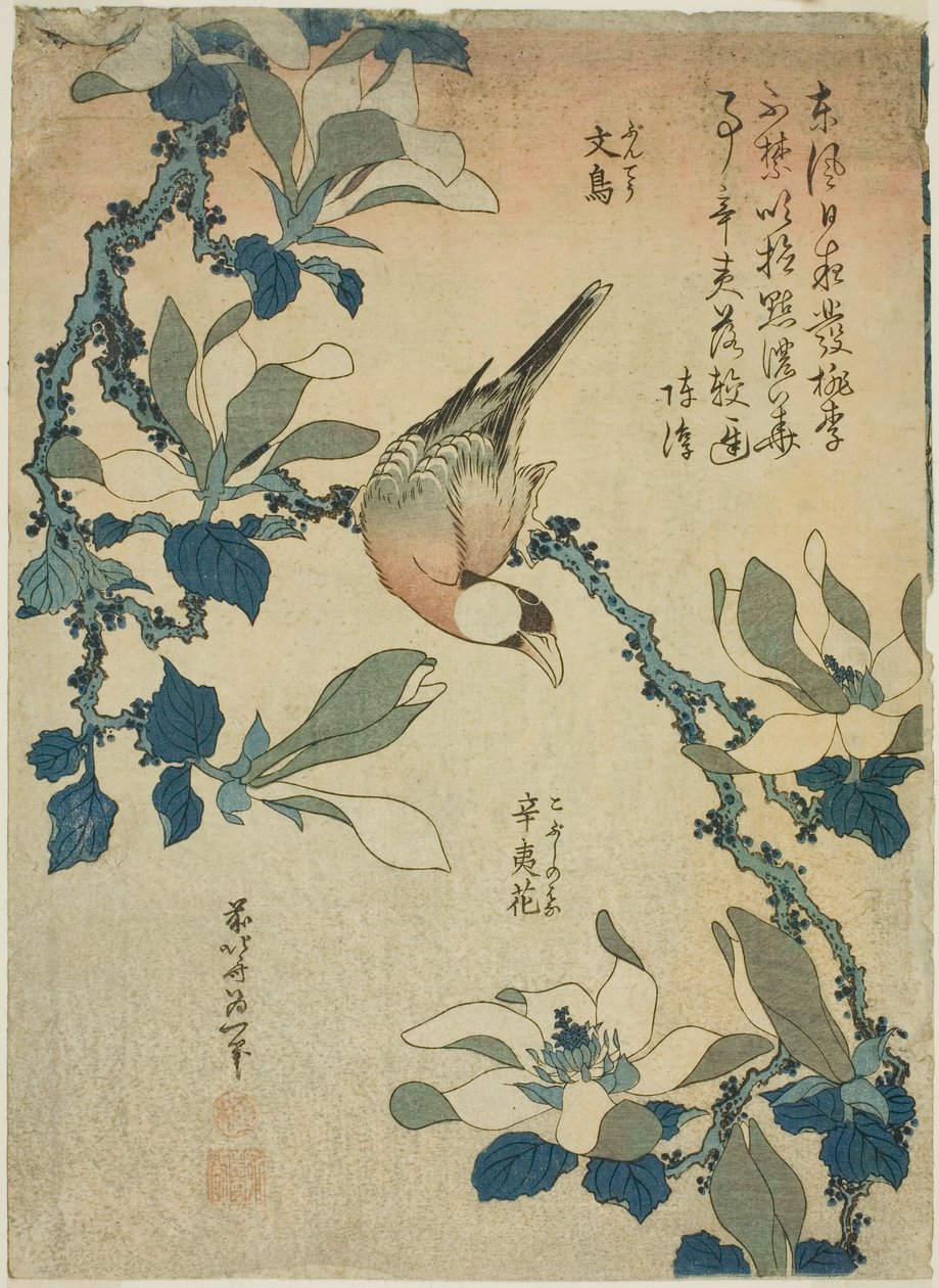 Pájaro Paddy y Flores de Magnolia, de una serie sin título de flores y pájaros de Katsushika Hokusai