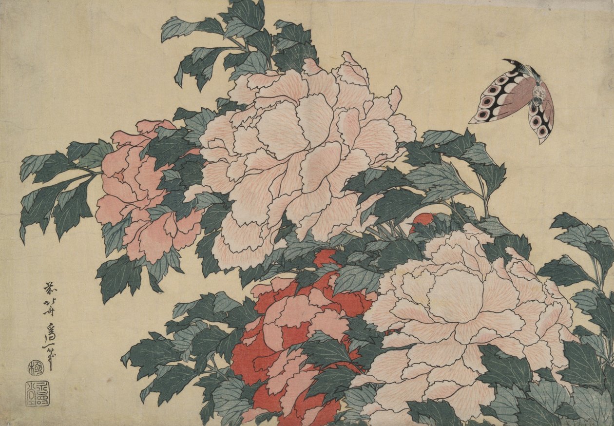 «Peonías y mariposa», de una serie sin título titulada «Flores grandes» de Katsushika Hokusai