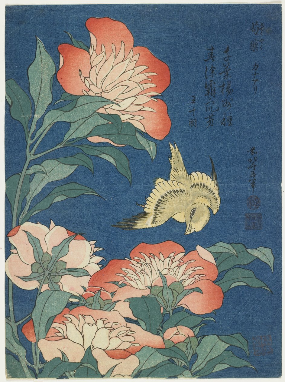 Peonías y canario, c. 1833 de Katsushika Hokusai