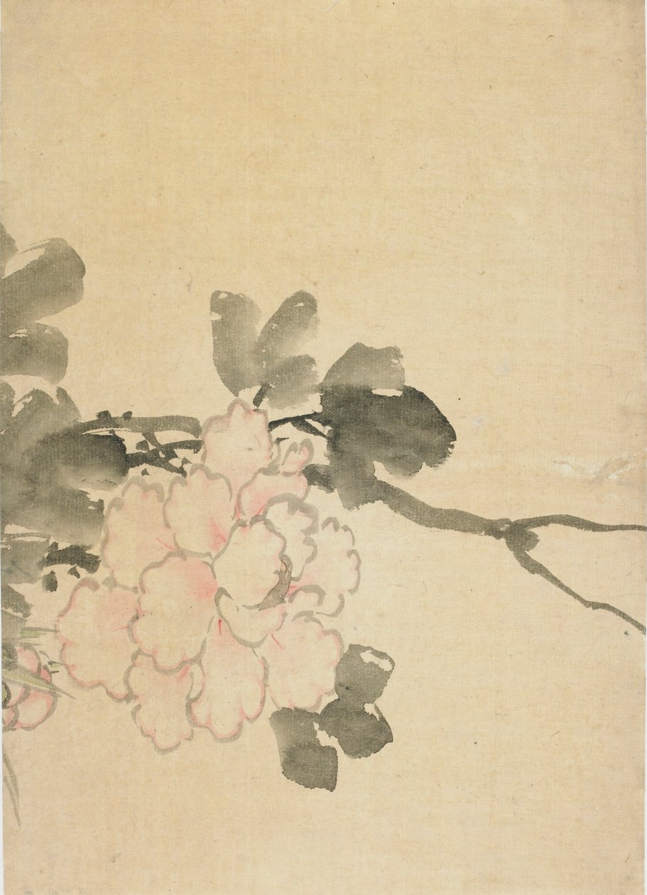 Peonía, finales del siglo XVIII-principios del siglo XIX de Katsushika Hokusai