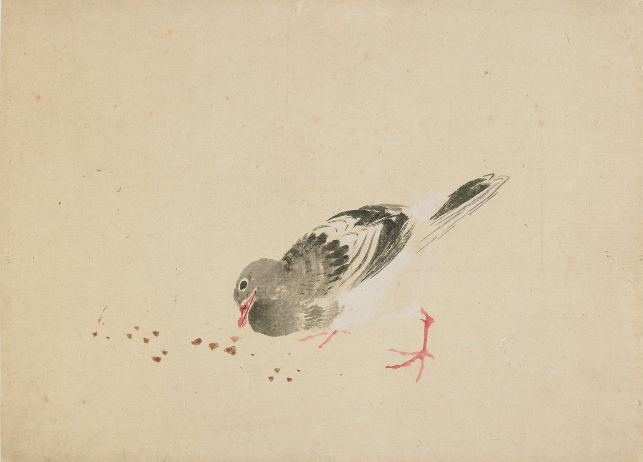 Paloma, finales del siglo XVIII - principios del siglo XIX de Katsushika Hokusai