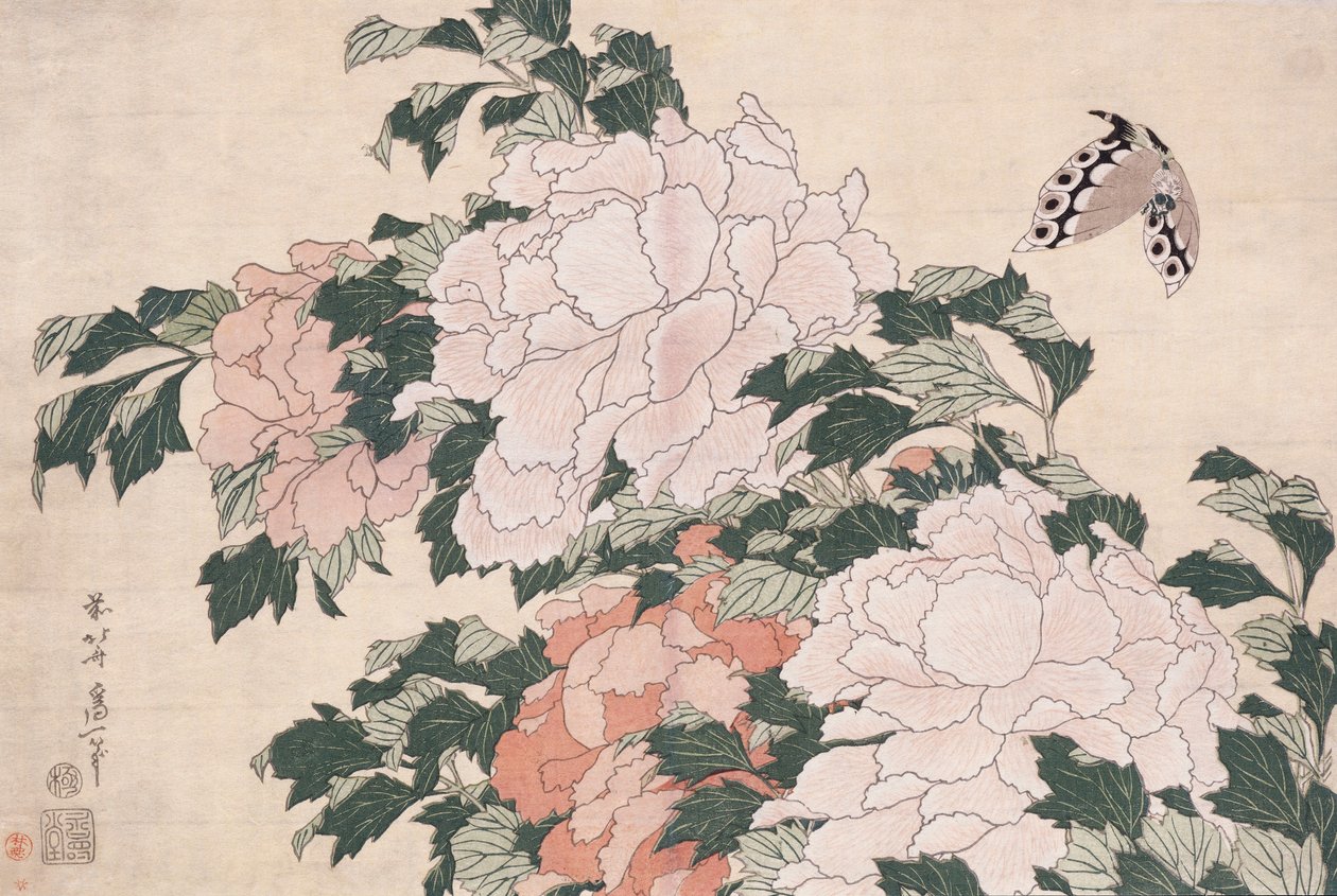 Peonías rosas y rojas sopladas a la izquierda en una brisa y una mariposa de Katsushika Hokusai