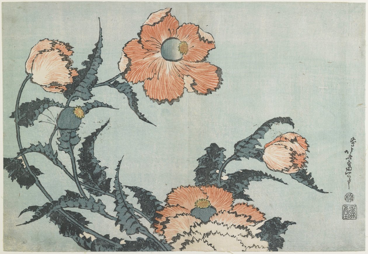 Amapolas, c. 1832 de Katsushika Hokusai